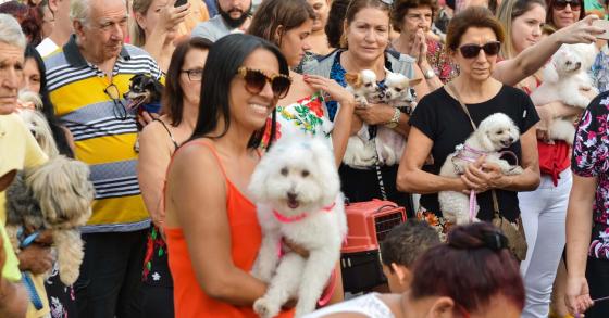 Bênção dos Animais - Festa de São Francisco 2018