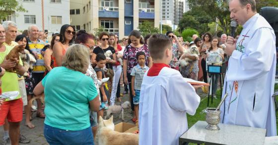 Bênção dos Animais - Festa de São Francisco 2018