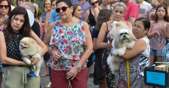 Bênção dos Animais - Festa de São Francisco 2018