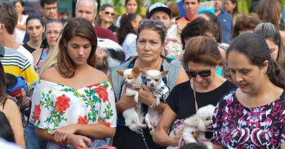 Bênção dos Animais - Festa de São Francisco 2018